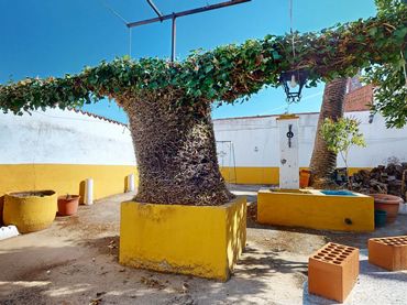 Casa en venda a Hinojosa del Valle
