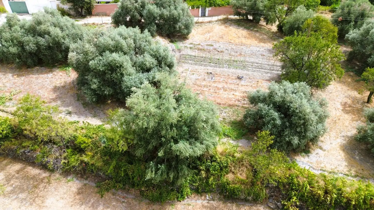 Finca rústica en venda en Órgiva