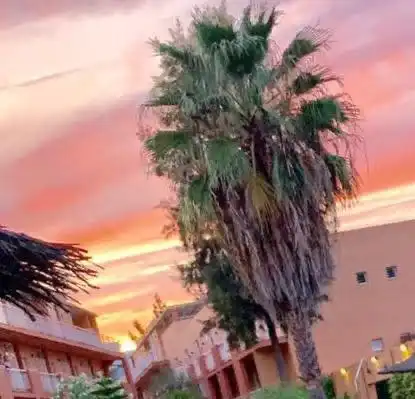 Ático con terraza en venta en Avenida del Deporte, imagen 19