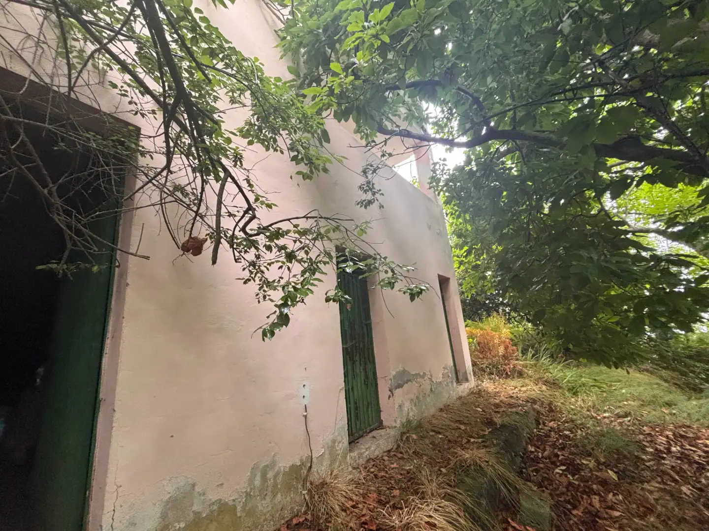 Vista exterior de Finca rústica en venta en Los Realejos con Jardín privado y Terraza