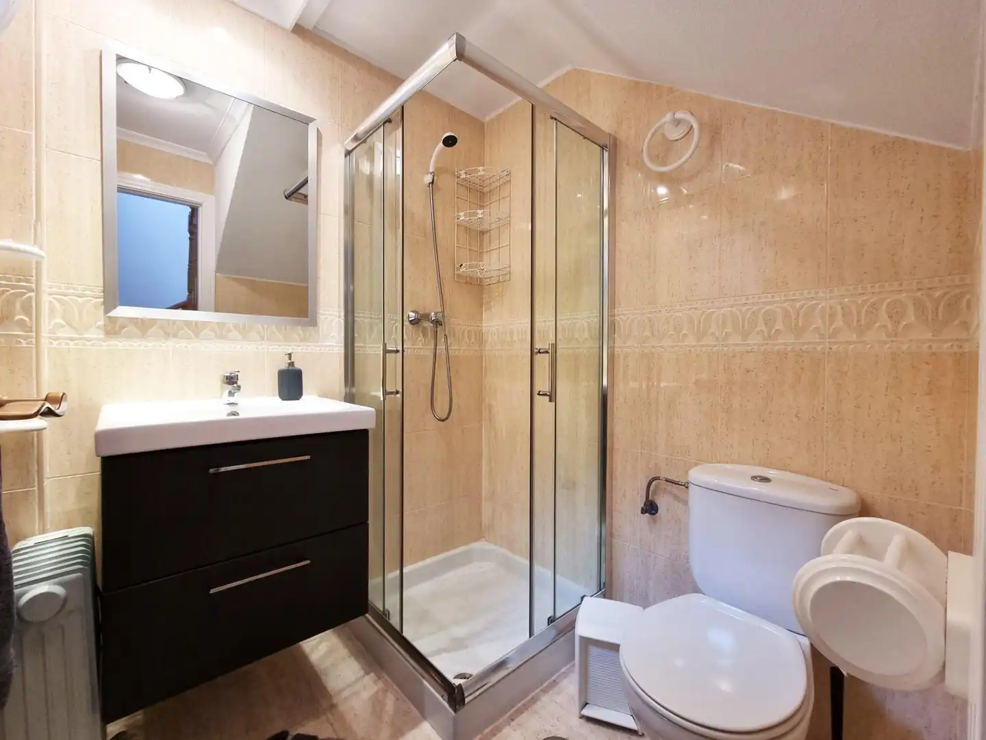 Penthouse mit Terrasse zum Verkauf in Avenida POLONIA, imagen 15
