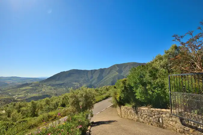 Vista exterior de Finca rústica en venta en Zahara con Aire acondicionado, Calefacción y Jardín privado