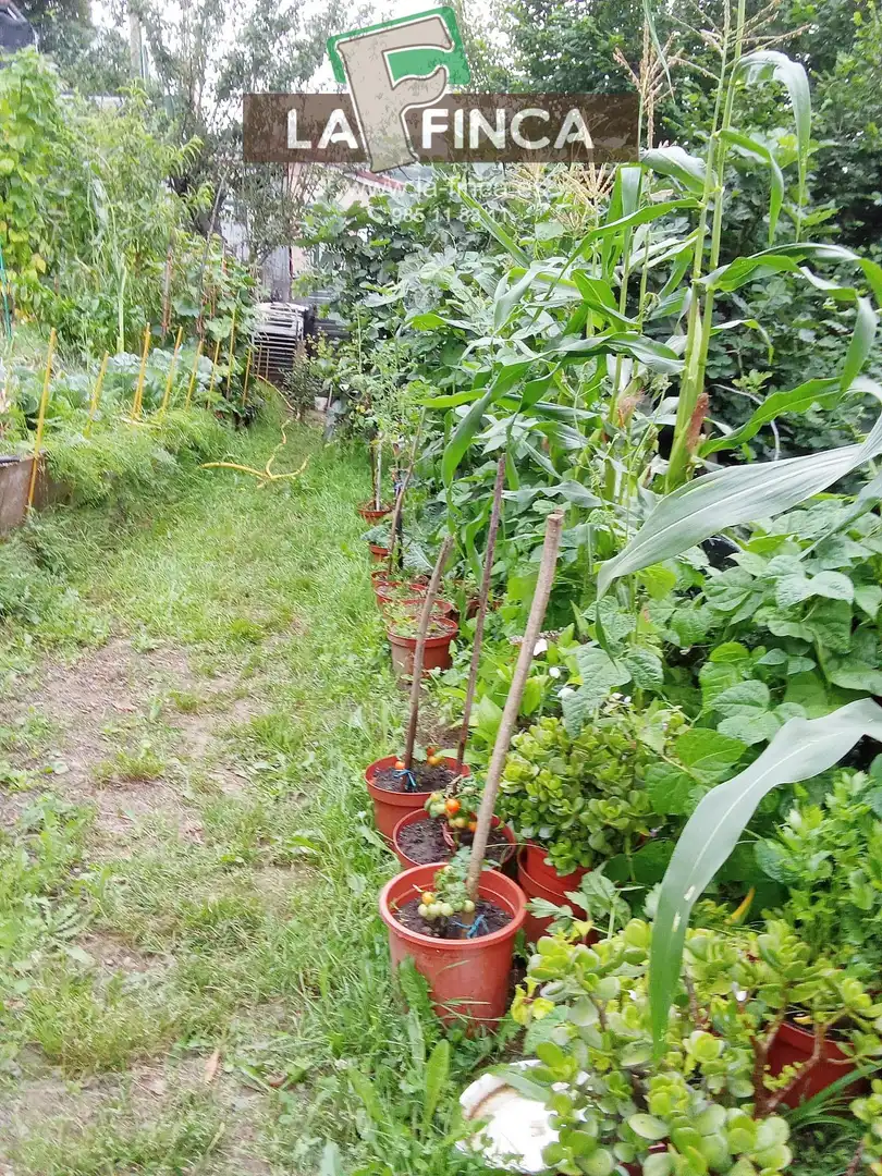Garden of Residential for sale in Langreo