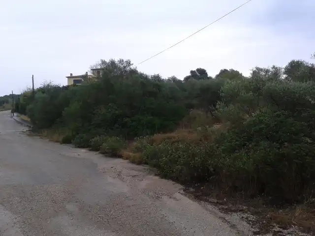 Terreny rústic en venda a C/ Son Gual, imagen 6