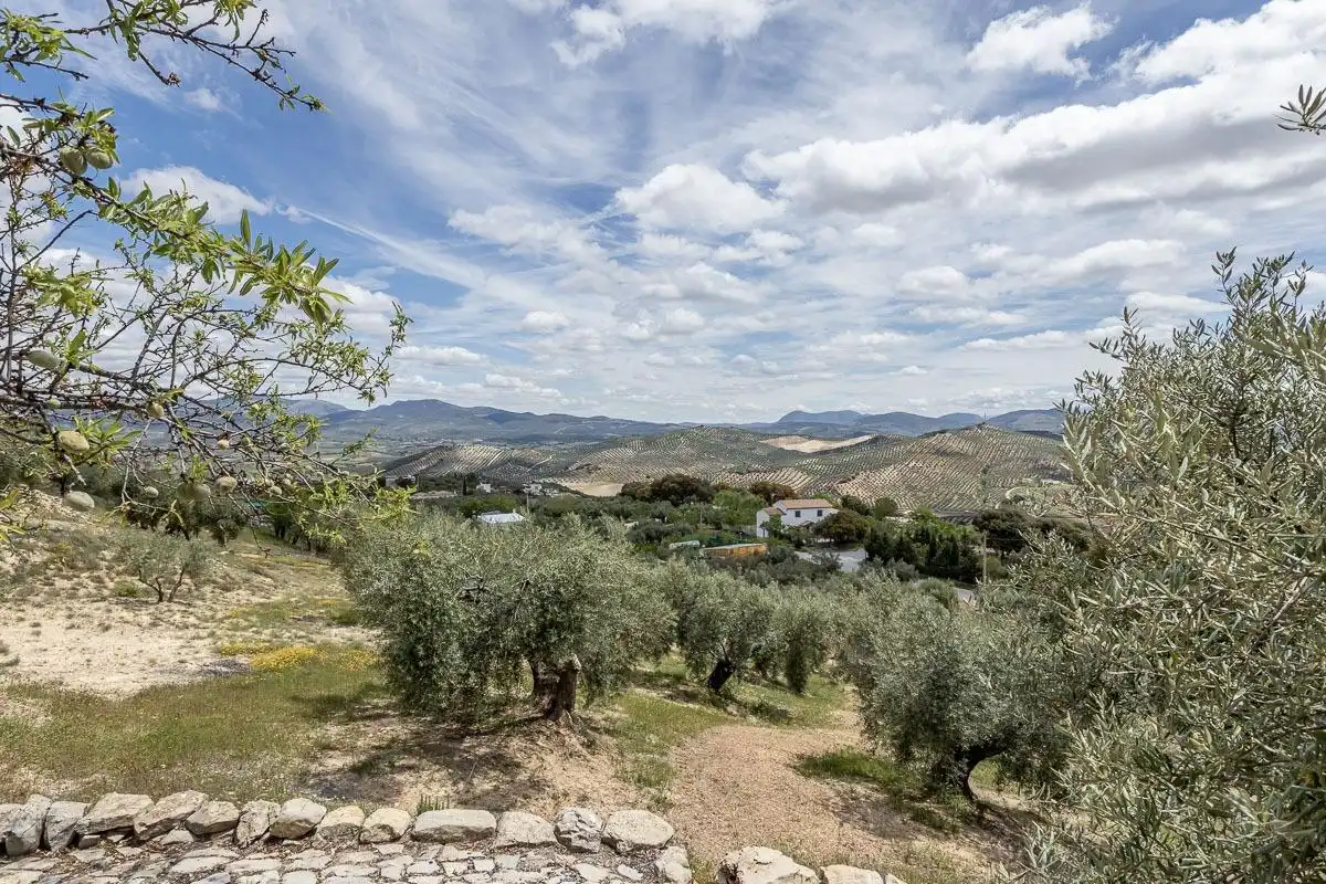 Jardín de Finca rústica en venta en Alcalá la Real con Calefacción y Terraza