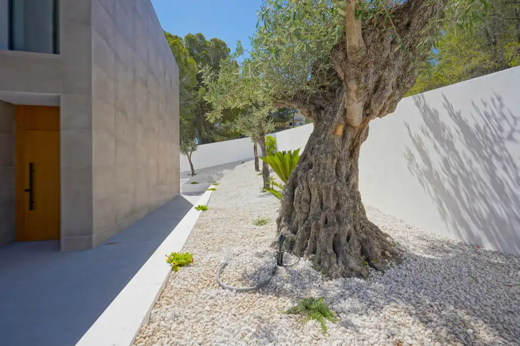 Casa amb terrassa en venda a Casco Urbano, imagen 50