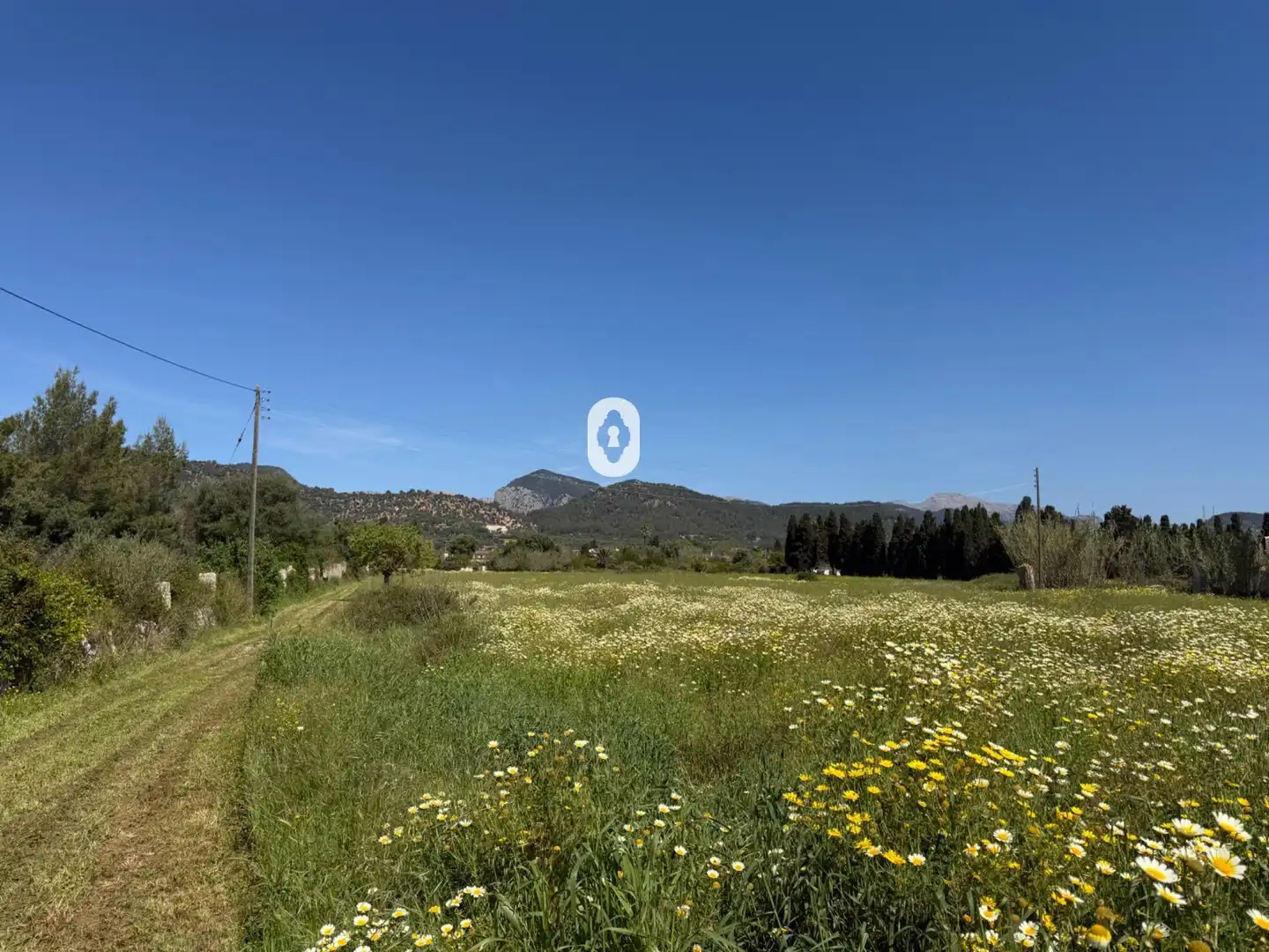 Finca rústica en venta en Binissalem