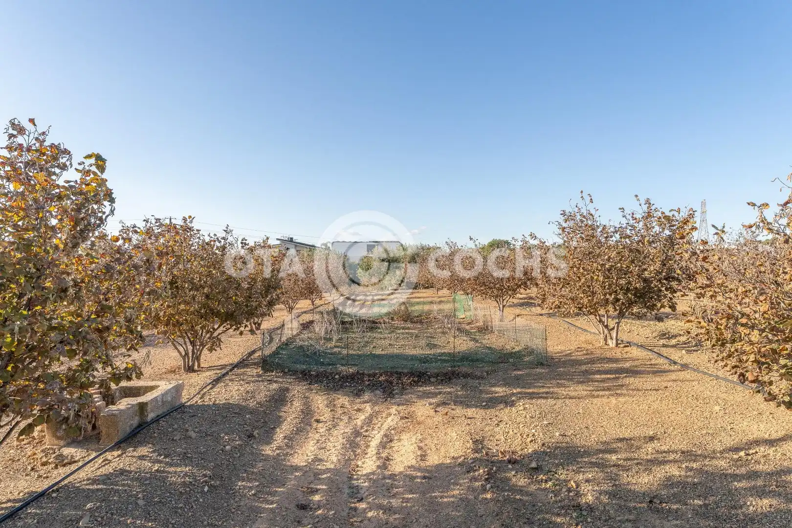 Finca rústica en venta en Castellvell del Camp