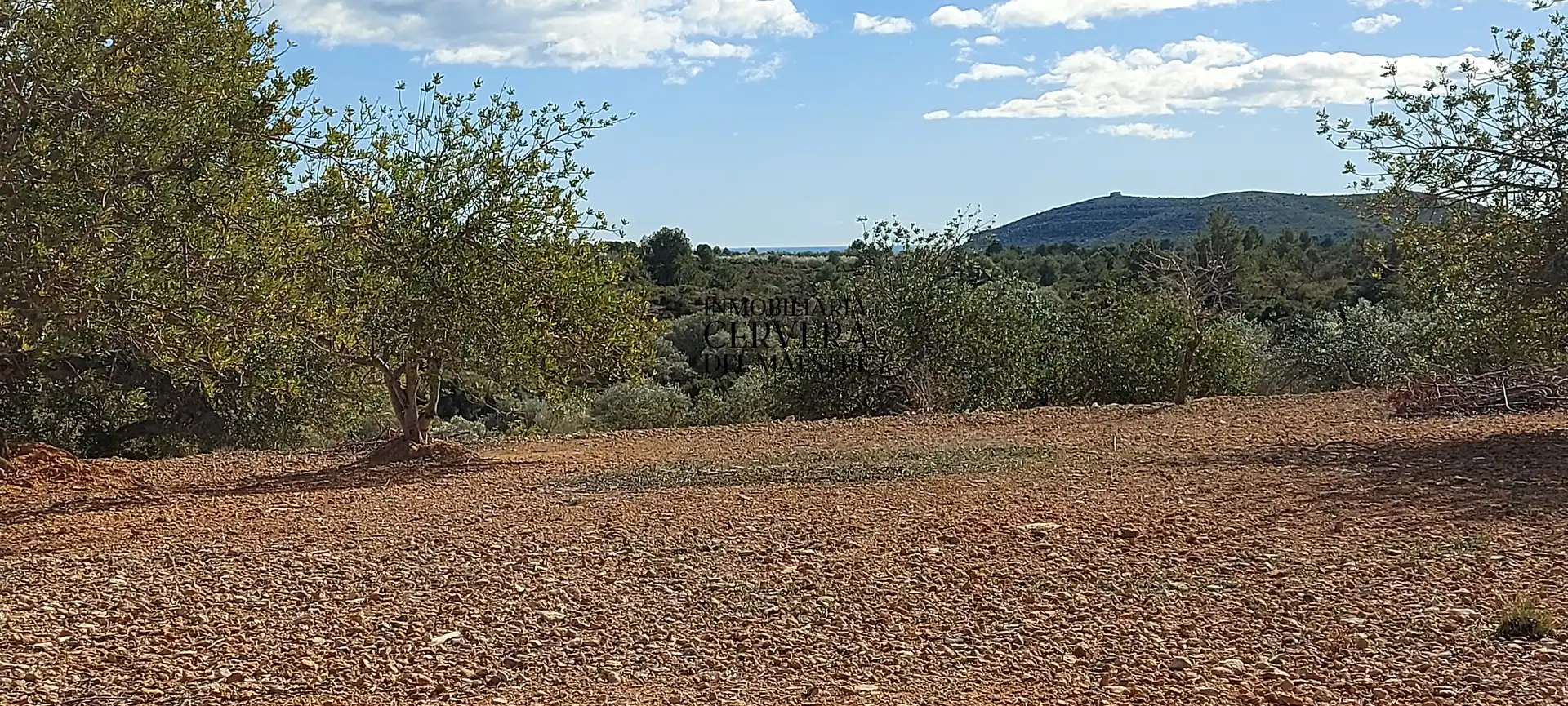 Terreno rustico in vendita a Partidas de interior - Zona Rústica, imagen 12