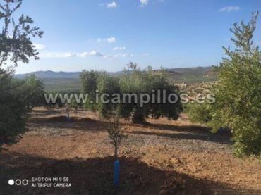 Terreno rustico in vendita a Calle TERMINO DE PRIEGO