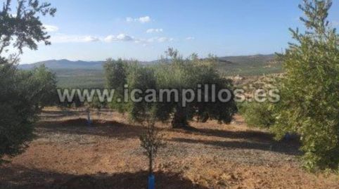 1.70 HECTAREAS ENTRE CAMPONUBES Y LUQUE