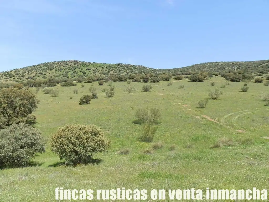 Rural land for sale in Calzada de Calatrava, imagen 6