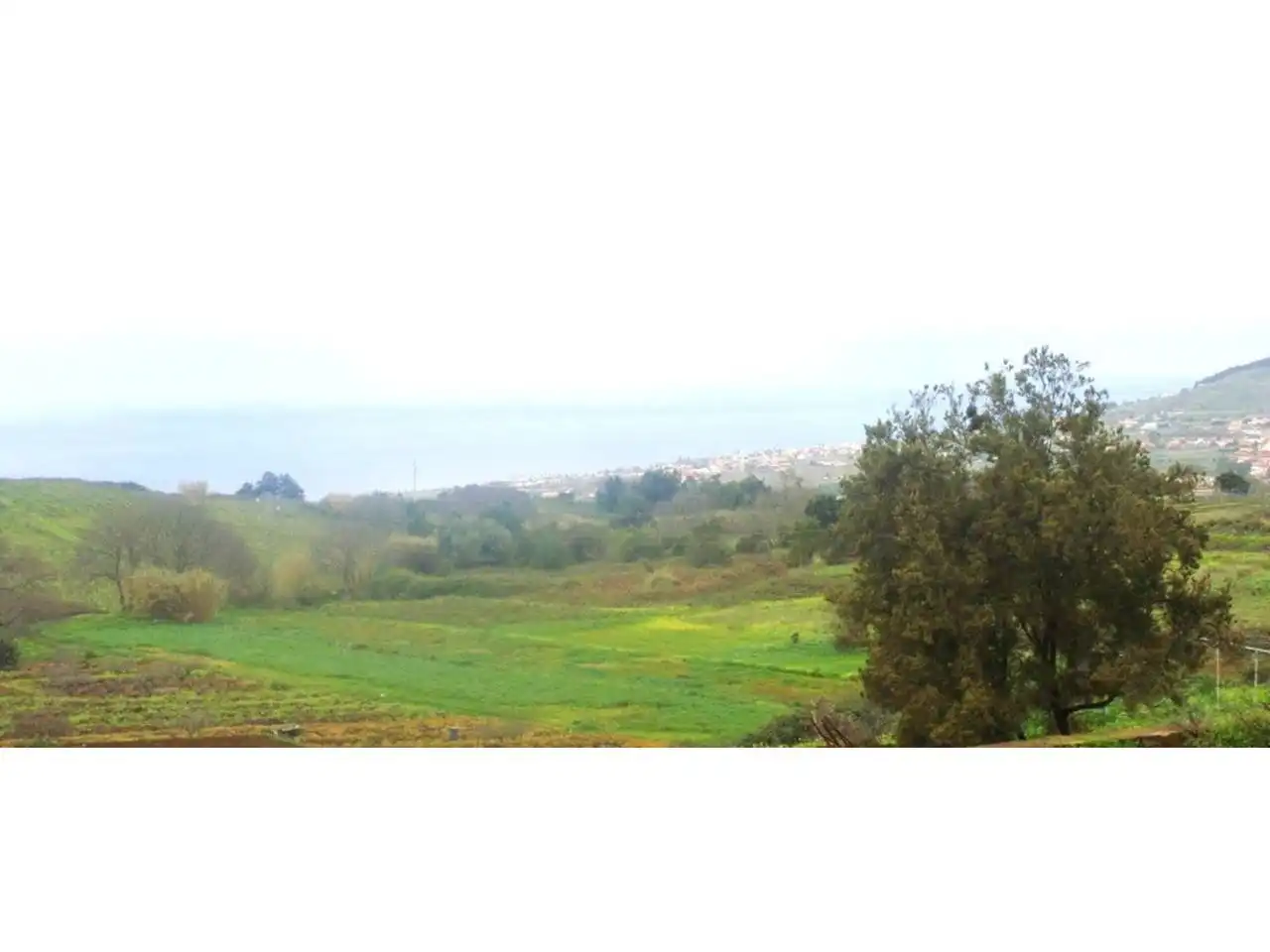 Finca rústica en venta en El Sauzal con Jardín privado