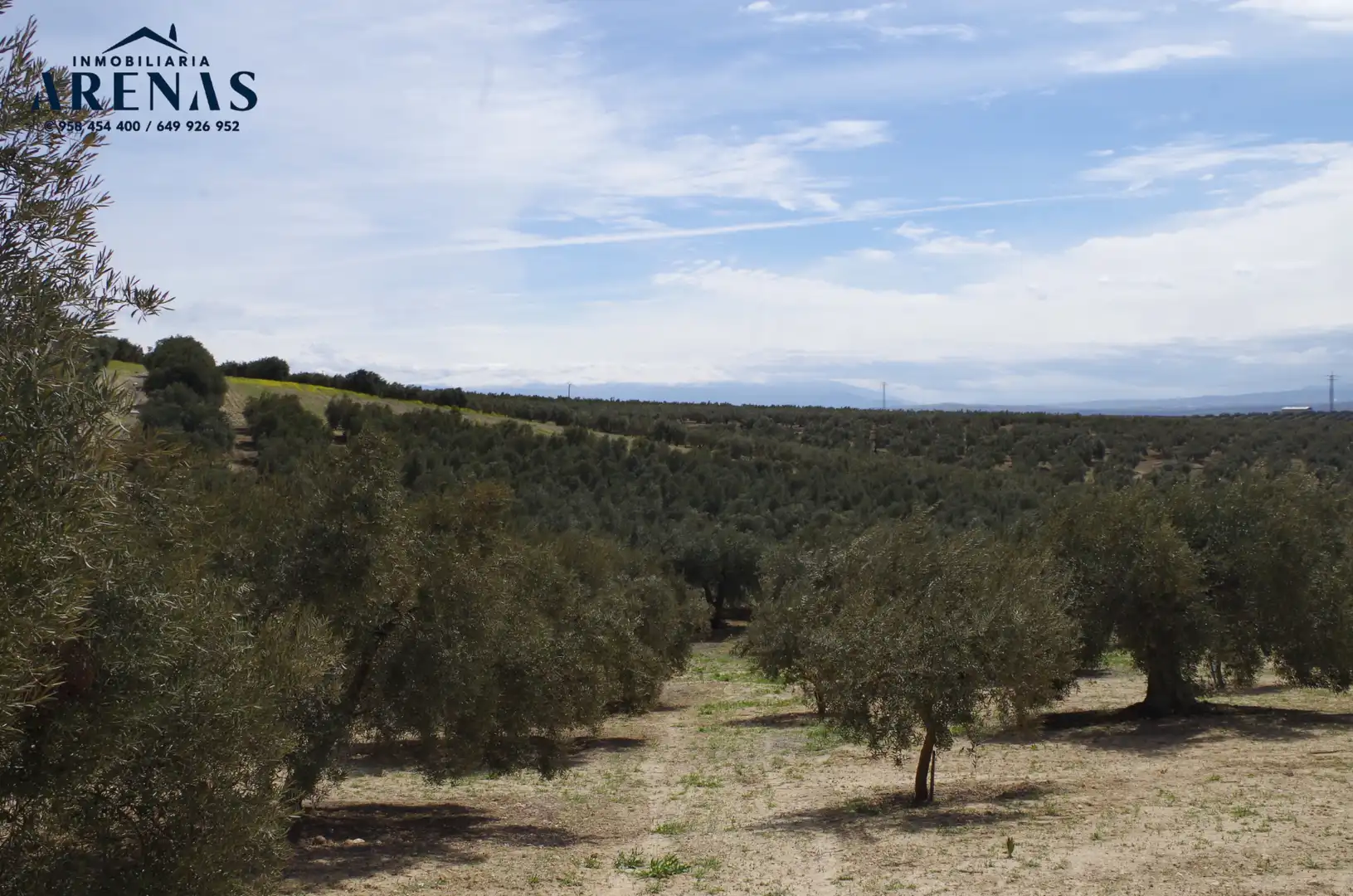 Residential land for sale in Íllora