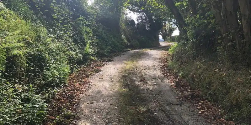 Terreno rustico in vendita a Camino DE LOS CIERROS-CALDONES, imagen 22