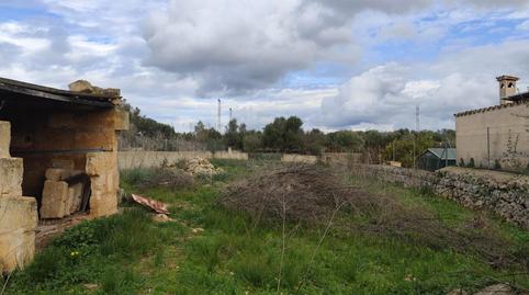 Foto 5 de Residencial en venda a Ariany, Illes Balears