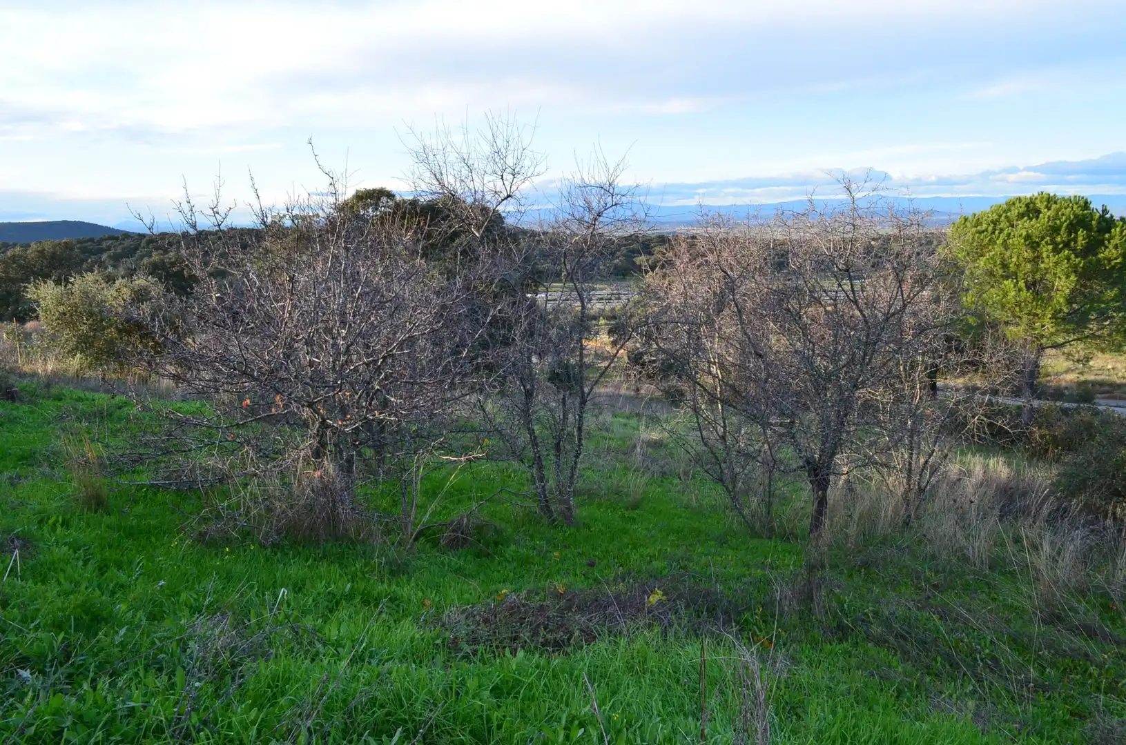 Casa o xalet en venda a N/A, -1, Cañaveral