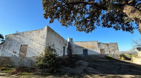 Foto 4 de Terreno en venta en Arcos de la Frontera, Cádiz