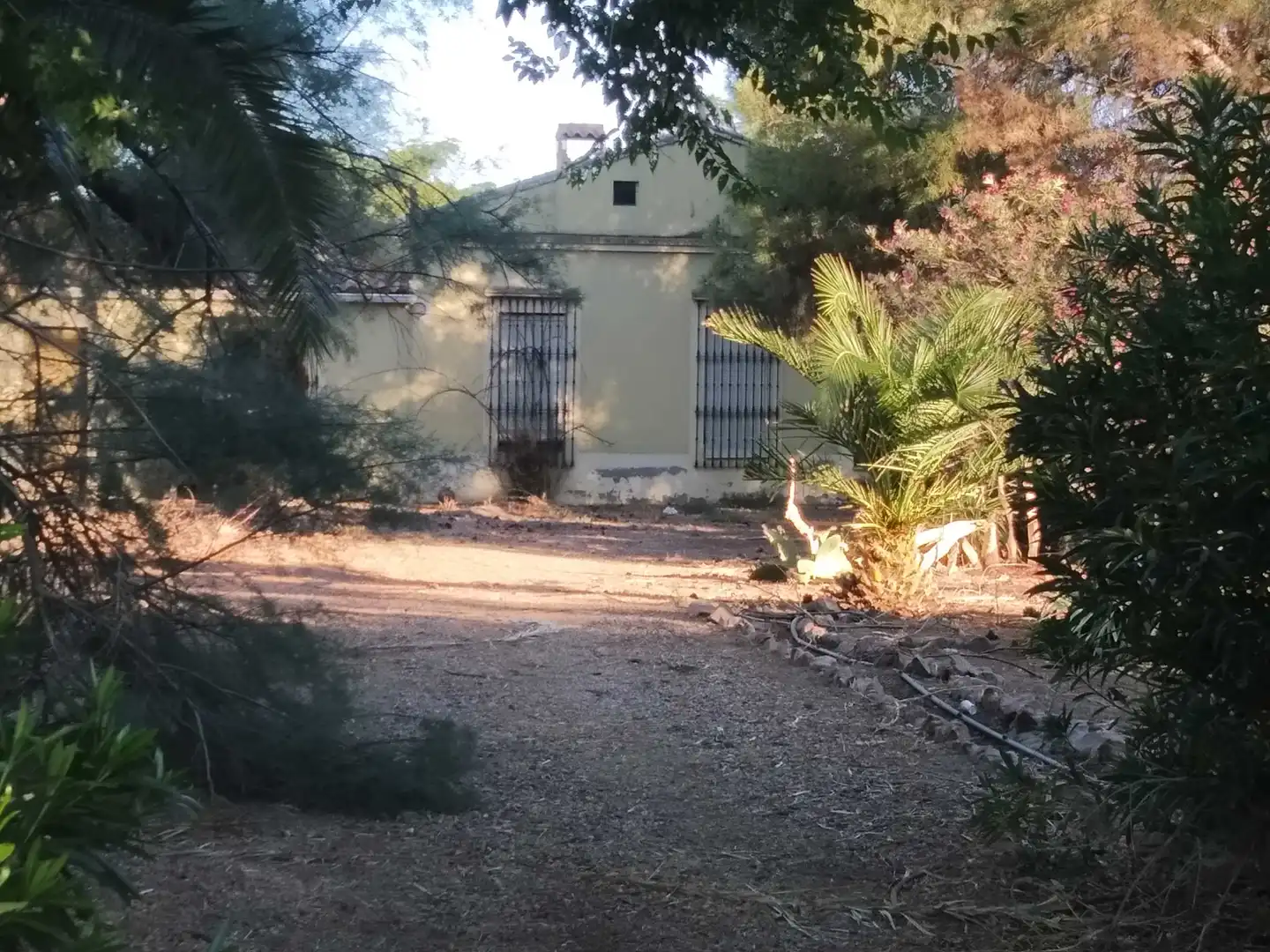 Vista exterior de Finca rústica en venta en Zafra