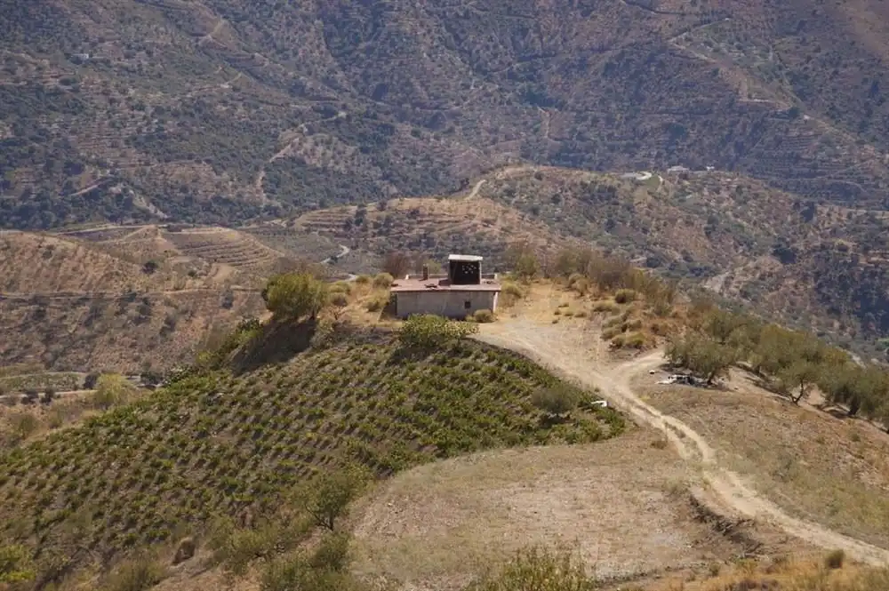 Terreno rústico en venta en Sedella, imagen 3