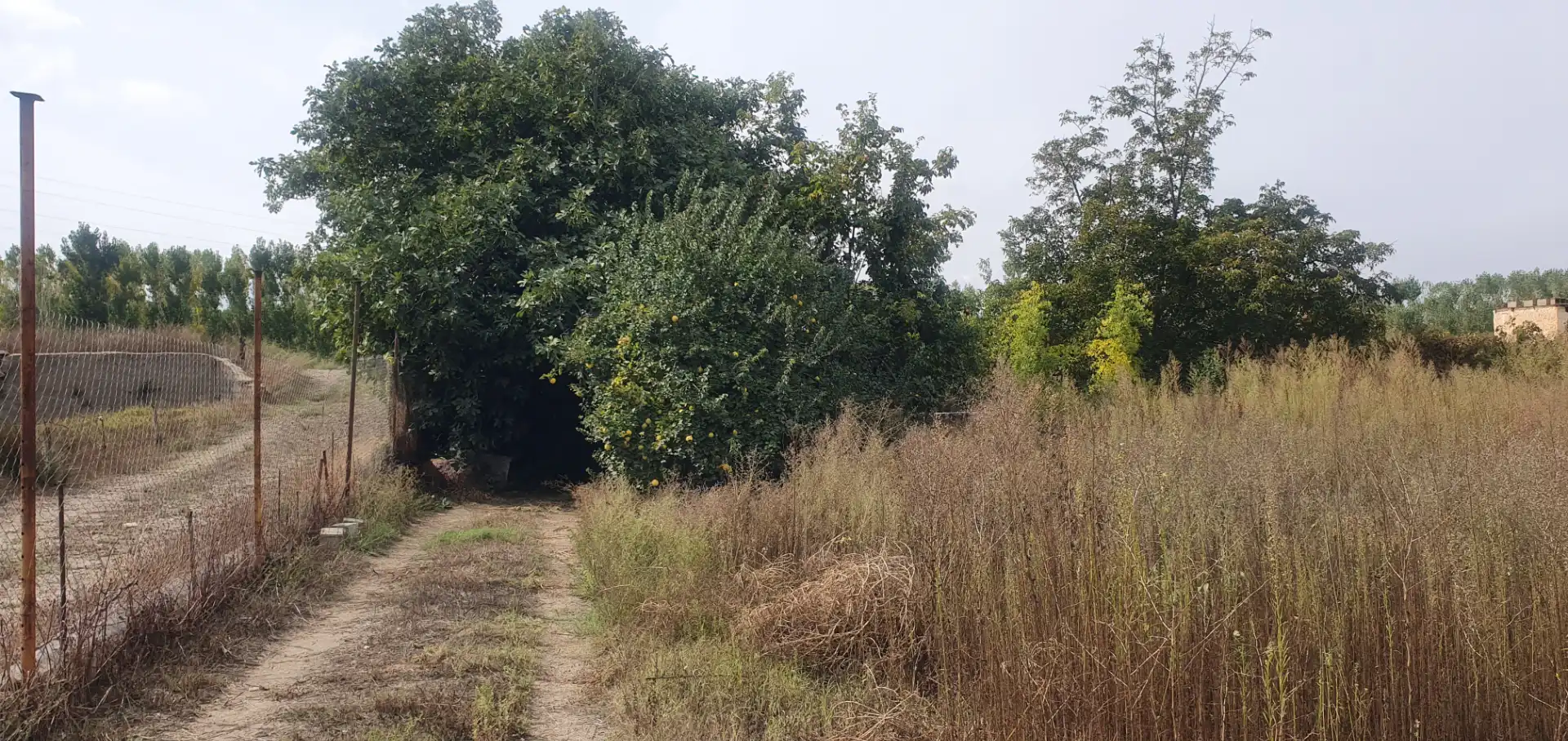 Rustikales Grundstück zum Verkauf in Carretera Benalúa 20, imagen 9