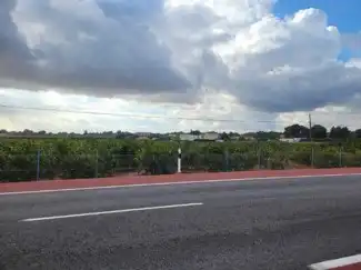 Terrain rustique à vendre à La Loma - Las Lomas, imagen 23