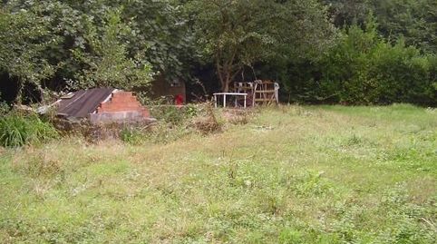 ¡¡ PRECIOSA FINCA LLANA SITUADA AL LADO DEL RÍO  IDEAL PARA DISFRUTAR DEL FIN DE SEMANA EN PLENA NATURALEZA !!., imatge 3