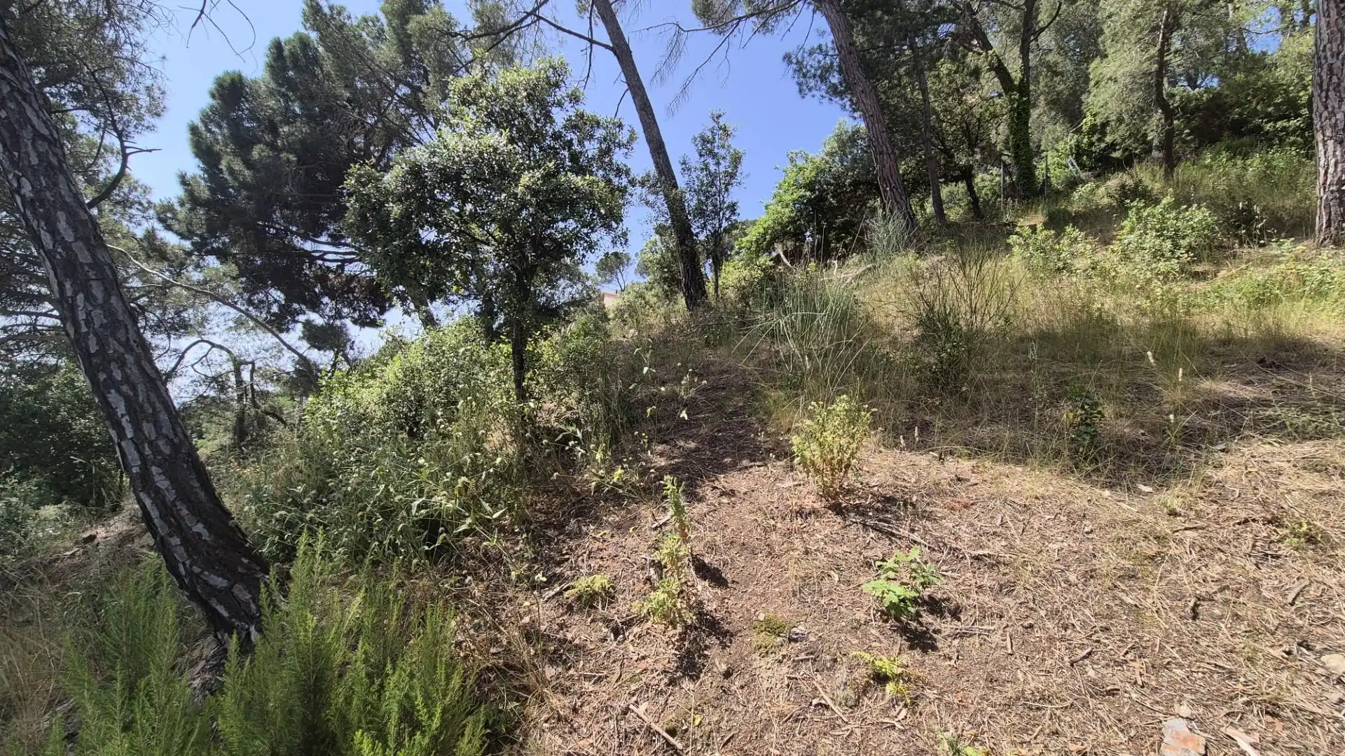 Terreny residencial en venda a El Racó - Sant Feliu del Racó, imagen 13