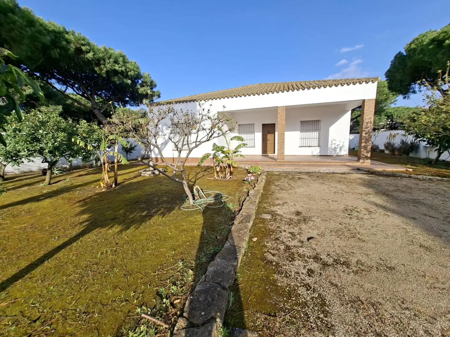 Vista exterior de Casa o xalet en venda en Chiclana de la Frontera amb Jardí privat