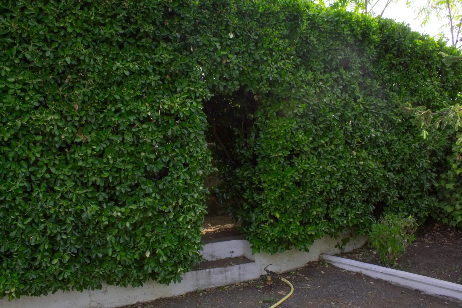 Jardí de Finca rústica en venda en Plasencia amb Aire condicionat, Calefacció i Jardí privat