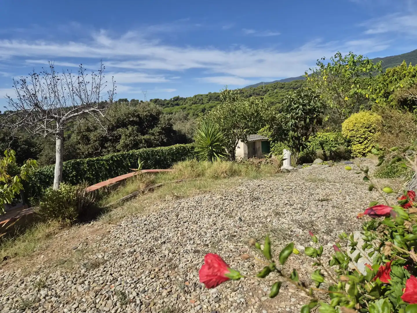 Maison avec terrasse à vendre à Sant Pere de Vilamajor, imagen 46
