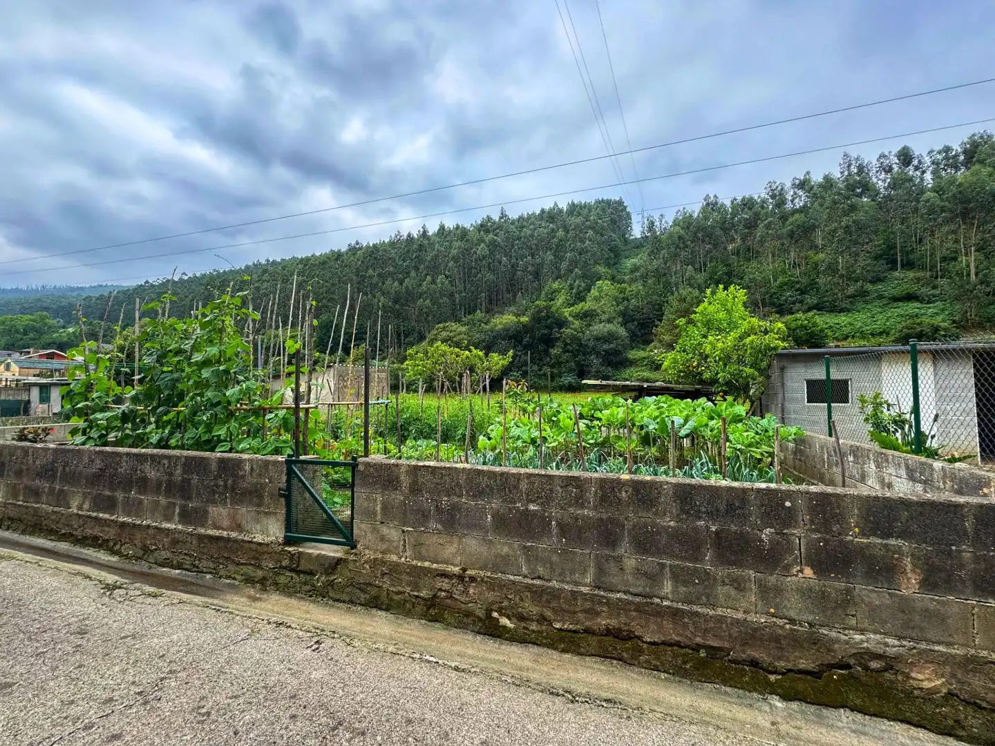 Vista exterior de Casa o chalet en venta en Vegadeo con Terraza y Trastero