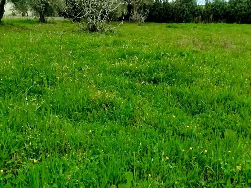 Residencial en venda en Palomeque