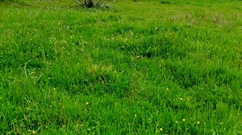 Foto 5 de Residencial en venda a Calle Ancha, 1, Palomeque, Toledo