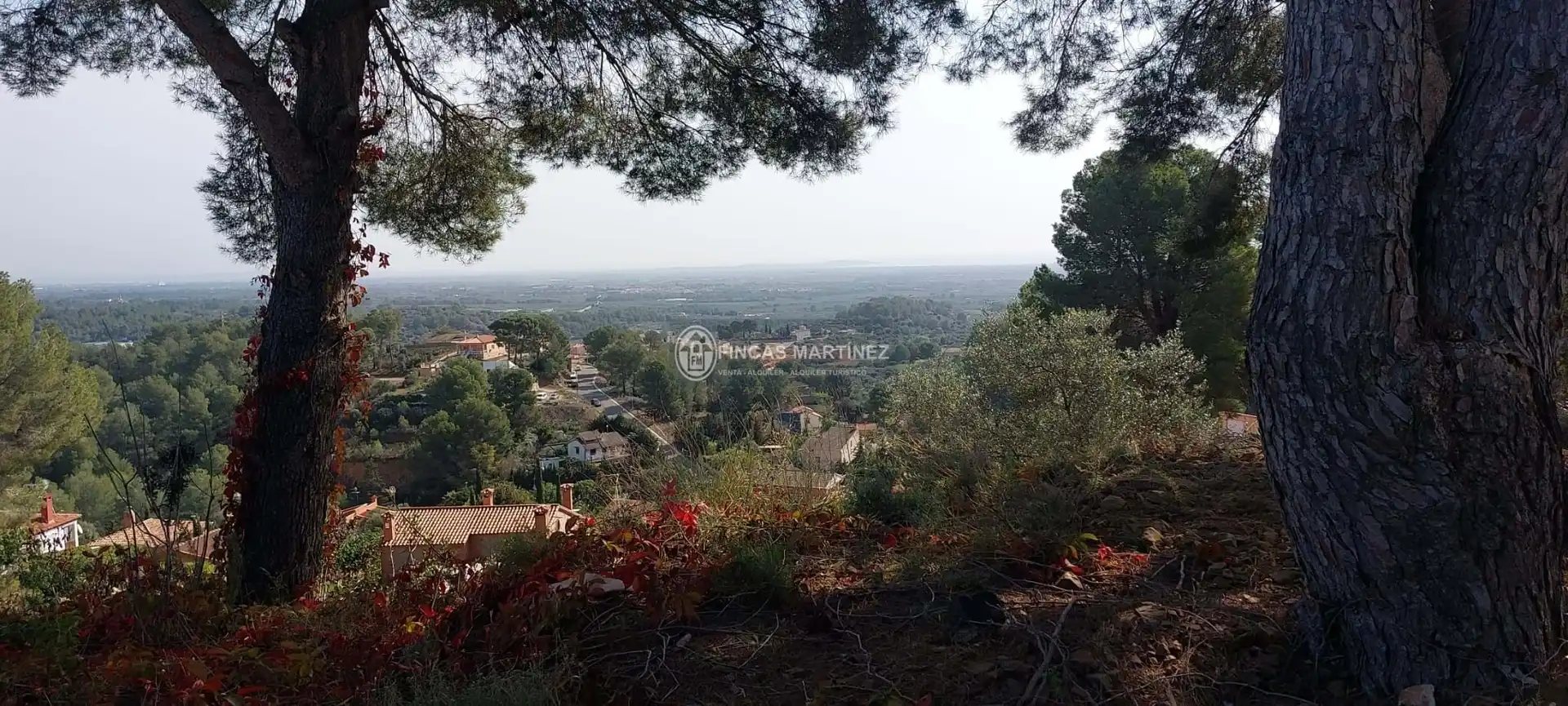 Terrenys i solars en venda a urbanizacion mar de riudecanyes, imagen 17