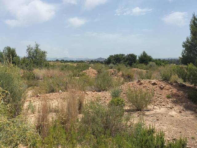 Terreno en Venta en PTA. CHACARELL pol 27, parcela 240, -1 en Vilamarxant