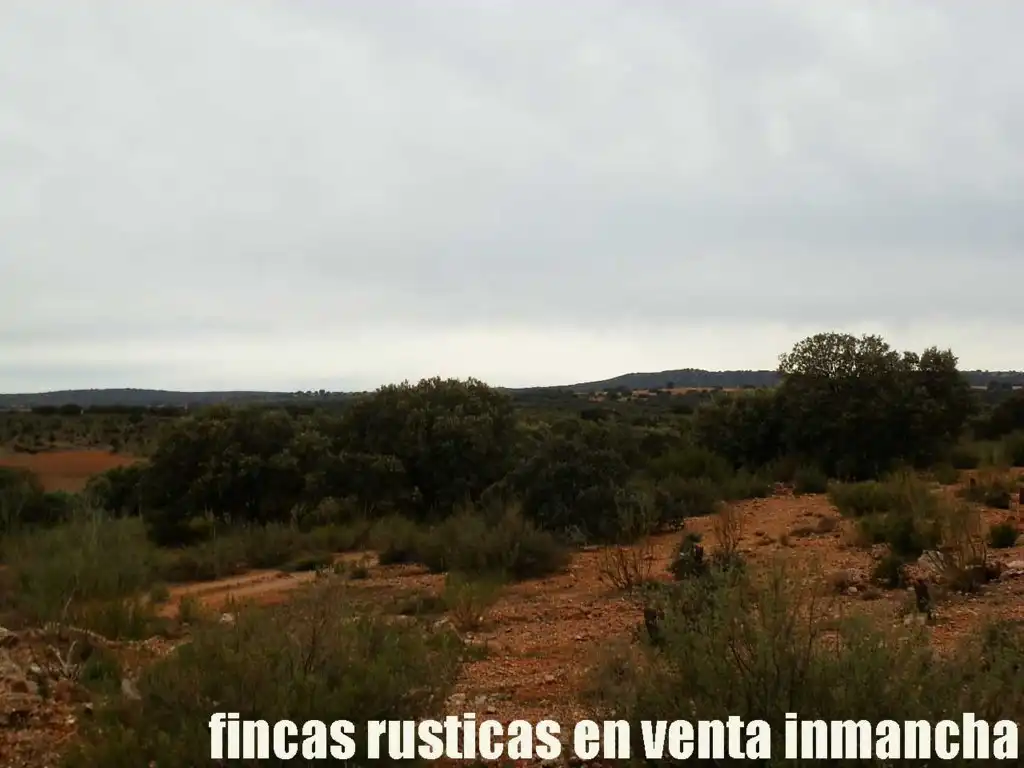Terreny rústic en venda a Calle Albacete 10, imagen 16