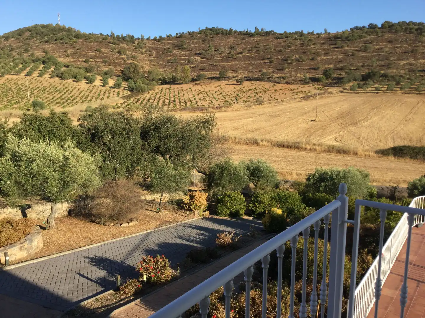 Jardí de Casa o xalet en venda en Alconchel amb Aire condicionat, Calefacció i Terrassa