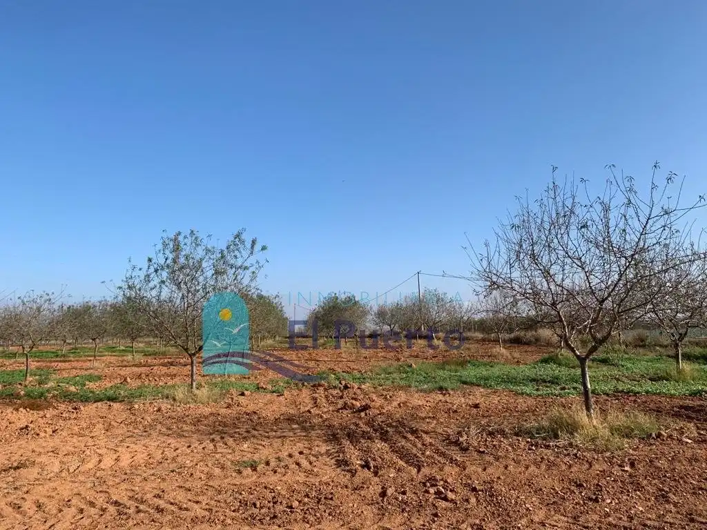 Terreno rústico en venta en Pedanías Oeste, imagen 13