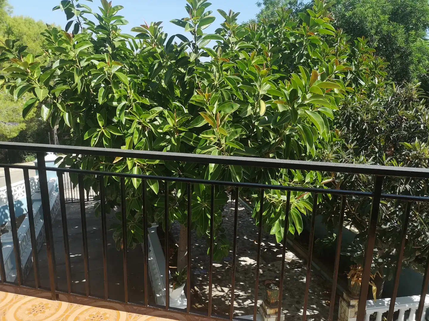 Terraza de Casa o chalet en venta en Alzira con Terraza, Trastero y Piscina