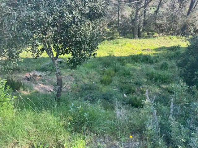 Terreno residencial en venta en Carrer l'Avet 456, imagen 9
