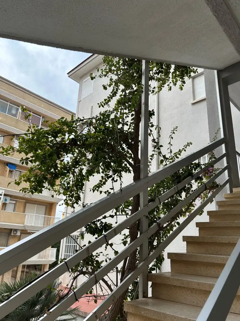 Balcony of Apartments for sale in Miramar  with Private garden, Terrace and Furnished