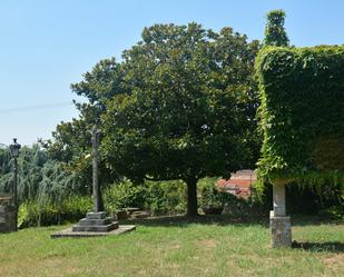 Jardí de Casa o xalet en venda en Padrón amb Jardí privat, Terrassa i Traster