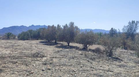Foto 5 de Finca rústica en venda a Mojácar Pueblo, Almería