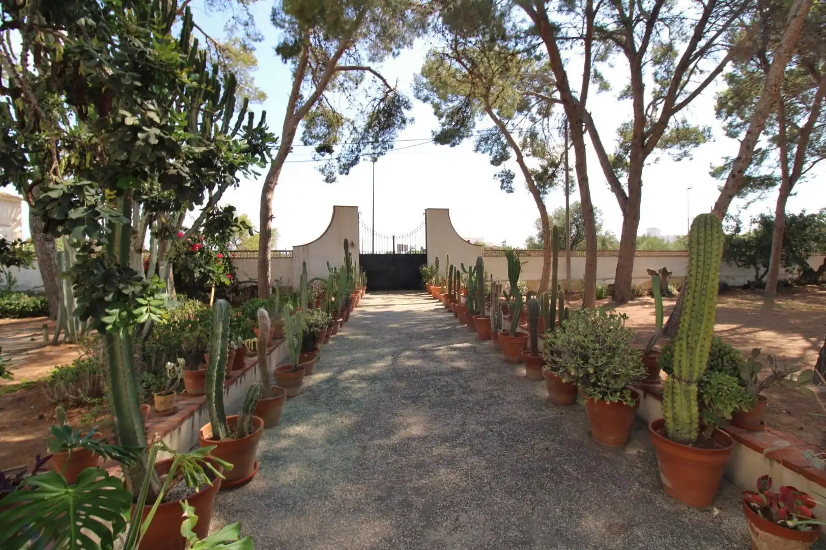 Garden of Houses for rent in Sant Joan d'Alacant  with Private garden, Terrace and Swimming Pool