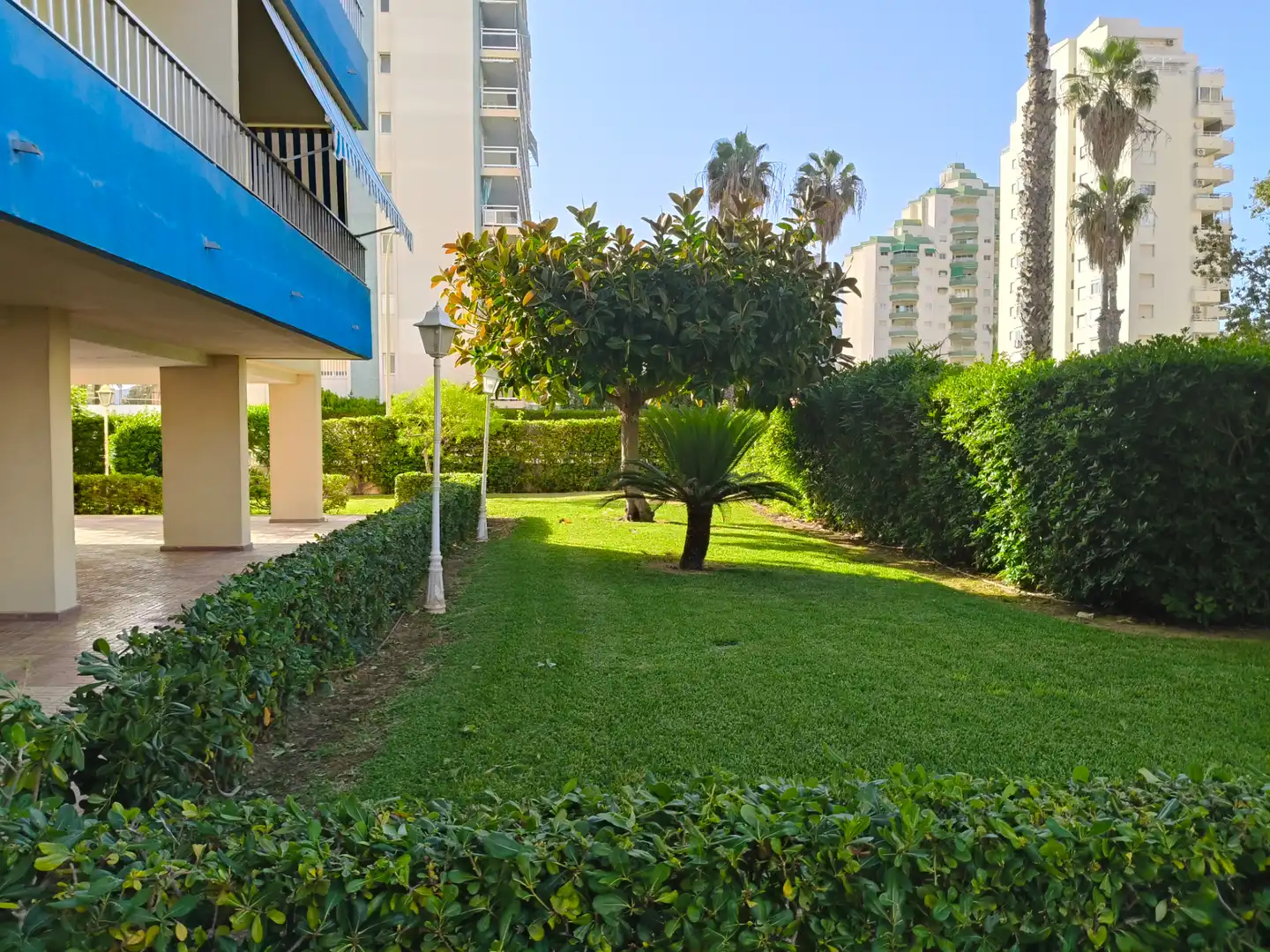 Garten von Wohnungen zur Miete in Gandia mit Terrasse, Möbliert und Gemeinschaftspool
