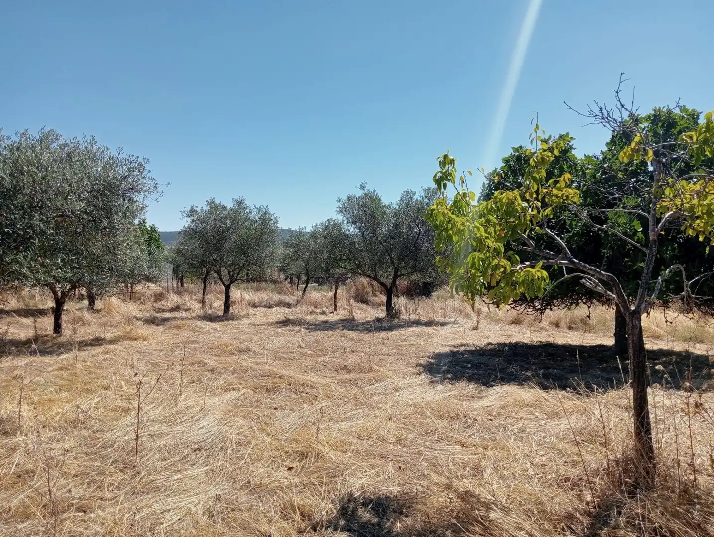 Residential for sale in Mirandilla