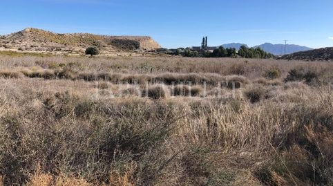EN VENTA 40.000 METROS EN LA ZONA DEL PUERTO POLIGONO INDUSTRIAL DE FORTUNA, immagine 3