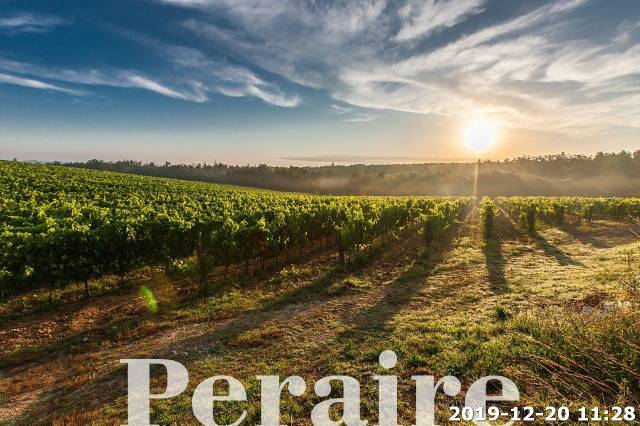 Local comercial en Venta en Falset