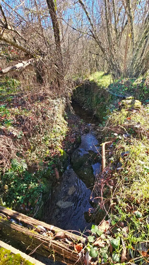 Vista exterior de Casa o xalet en venda en Los Marines amb Jardí privat, Terrassa i Traster